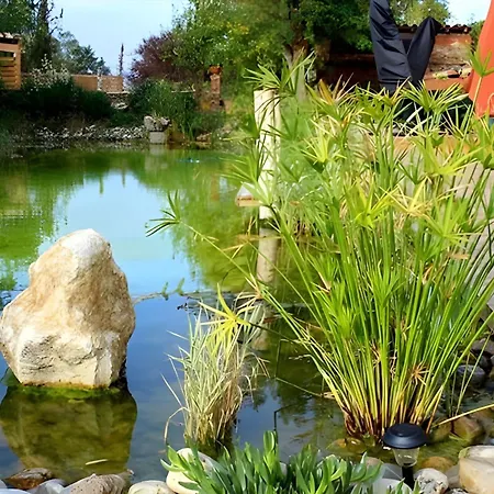 Chateau Fourclins Domaine Privatif 16 Personnes Parc & Bassin Naturel Proche Toulouse Villa *