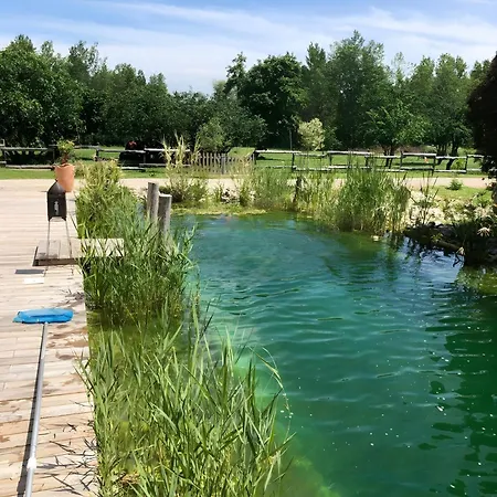 Chateau Fourclins Domaine Privatif 16 Personnes Parc & Bassin Naturel Proche Toulouse ヴィラ