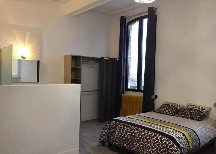 Chateau Fourclins Domaine Privatif 15 Personnes Parc & Bassin Naturel Proche Toulouse Villa Merville (Haute-Garonne)