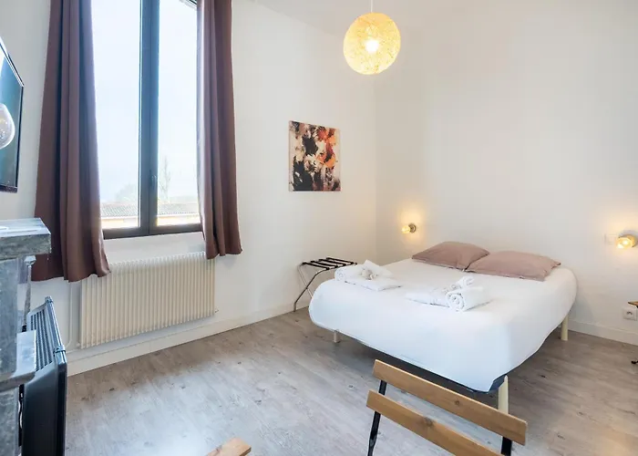 Chateau Fourclins Domaine Privatif 15 Personnes Parc & Bassin Naturel Proche Toulouse Merville (Haute-Garonne)