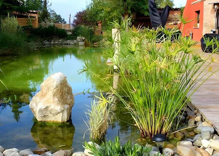 Chateau Fourclins Domaine Privatif 15 Personnes Parc & Bassin Naturel Proche Toulouse Βίλα *