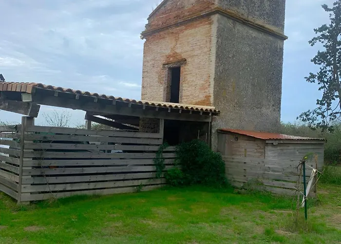 Βίλα Chateau Fourclins Domaine Privatif 15 Personnes Parc & Bassin Naturel Proche Toulouse