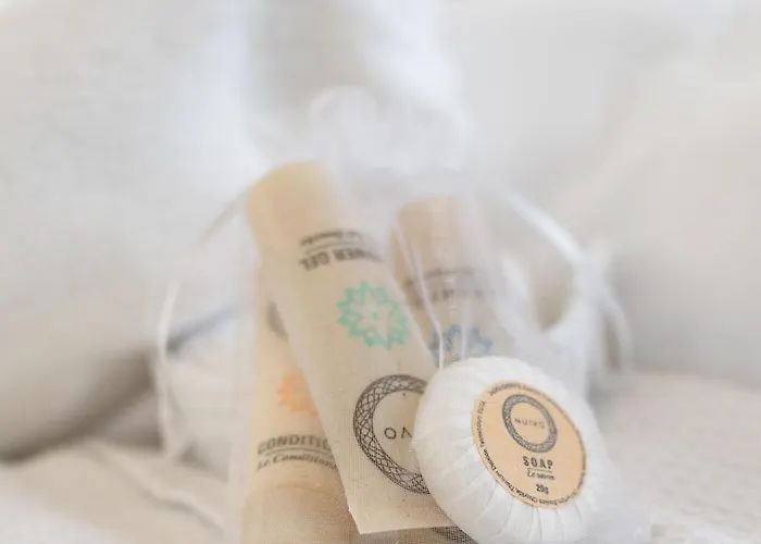 Vila Chateau Fourclins Domaine Privatif 15 Personnes Parc & Bassin Naturel Proche Toulouse Merville (Haute-Garonne)