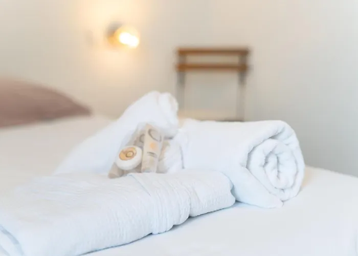 Chateau Fourclins Domaine Privatif 15 Personnes Parc & Bassin Naturel Proche Toulouse * Merville (Haute-Garonne)